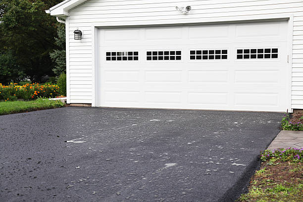 Best Basement Cleanout  in Crivitz, WI